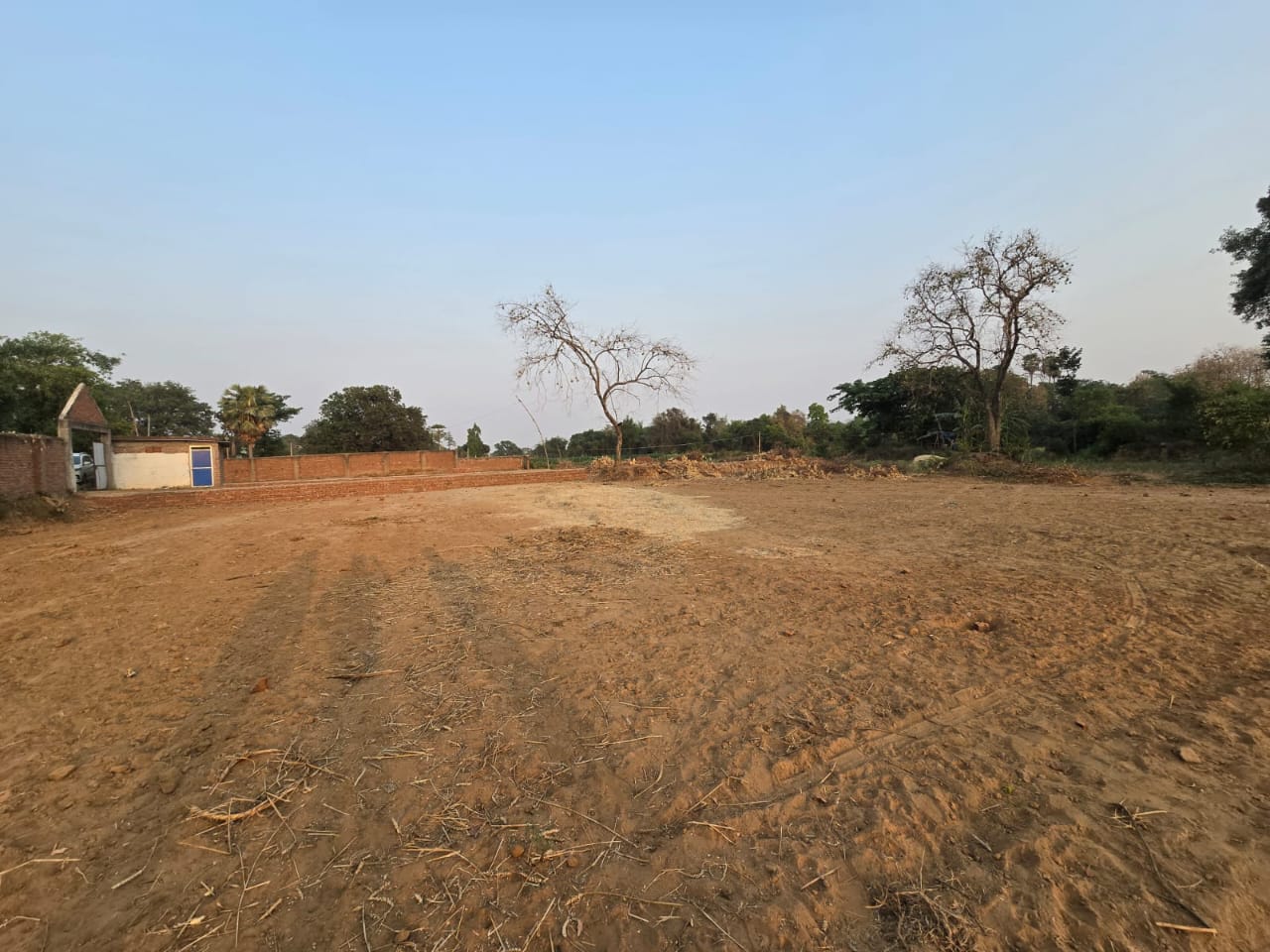 Orchid Garden Site