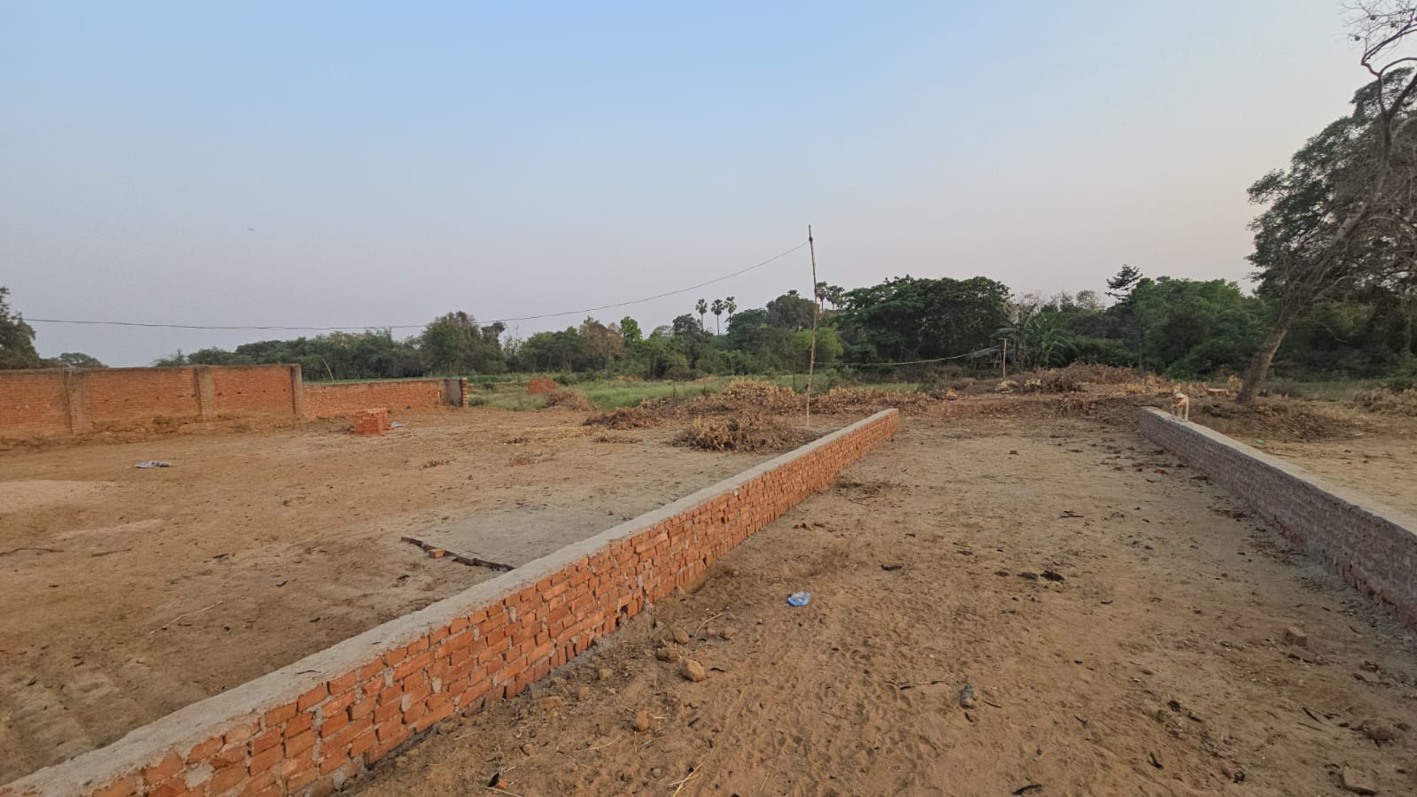 Roads and Plots